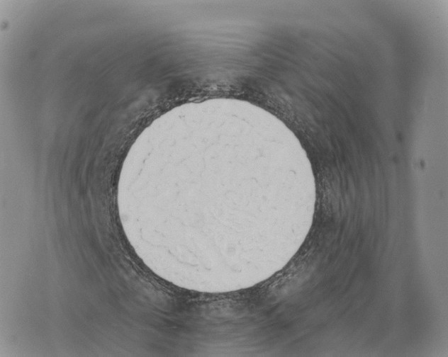 X0000072970769200608111715