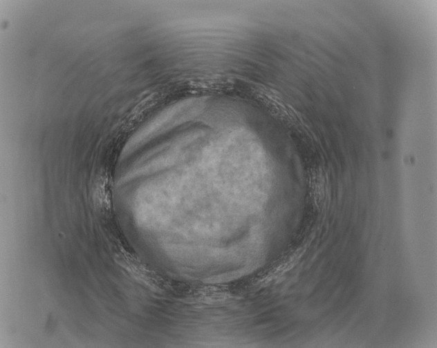 X0000072970770200608111715