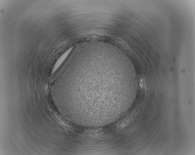 X0000072970771200608111715