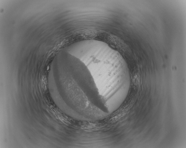 X0000072970772200608111715