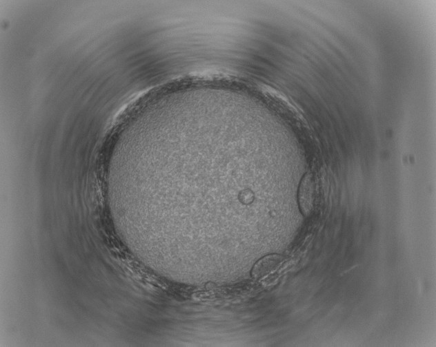 X0000072970776200608111715