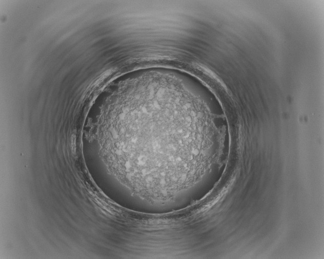 X0000072970777200608111715