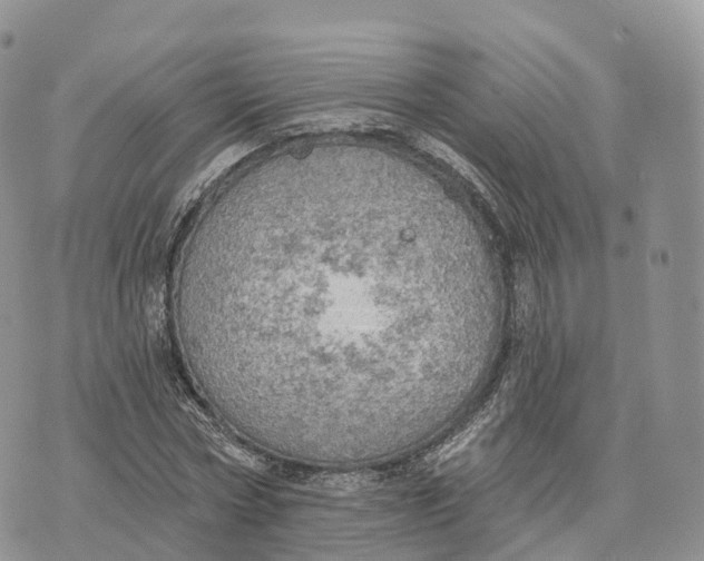 X0000072970778200608111715