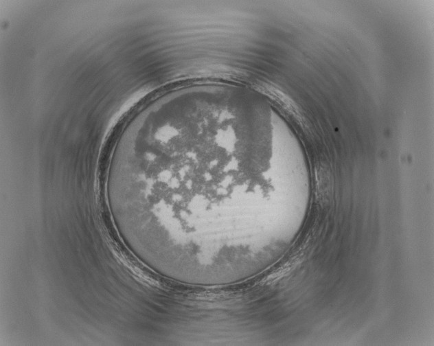 X0000072970780200608111715