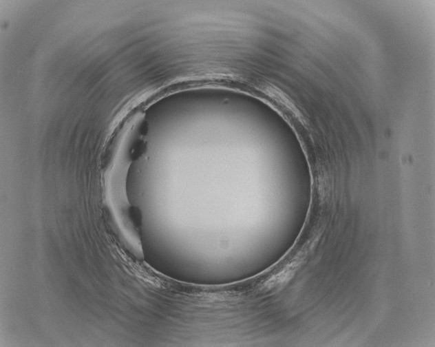 X0000072970781200608111715