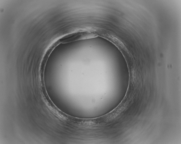 X0000072970784200608111715