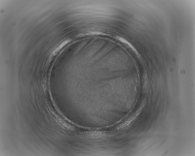 X0000072970785200608111715