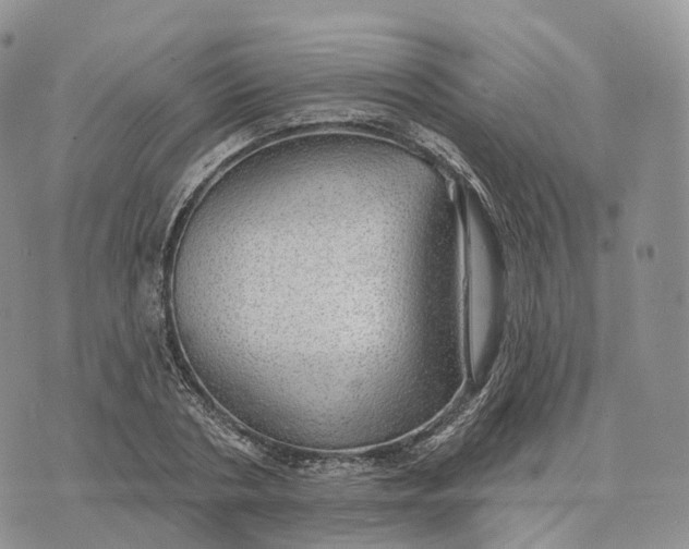 X0000072970786200608111715