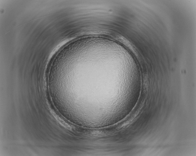 X0000072970787200608111715