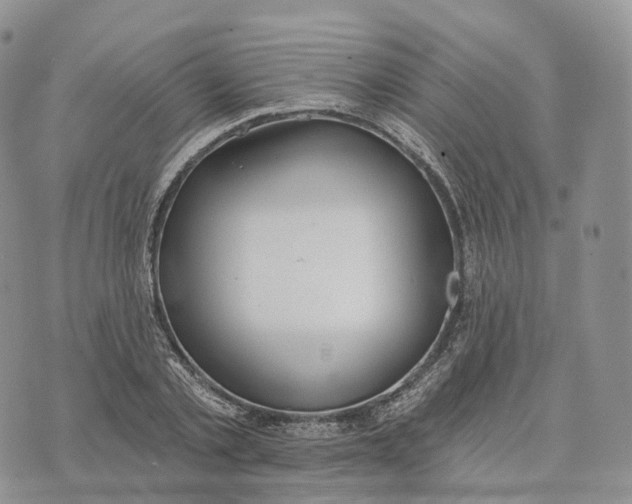 X0000072970789200608111715