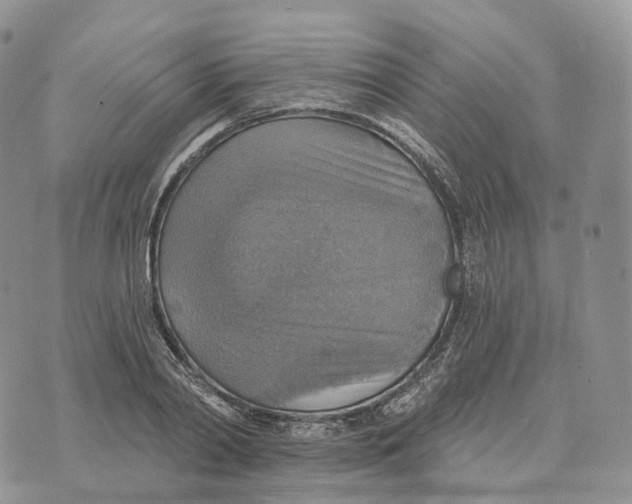 X0000072970790200608111715