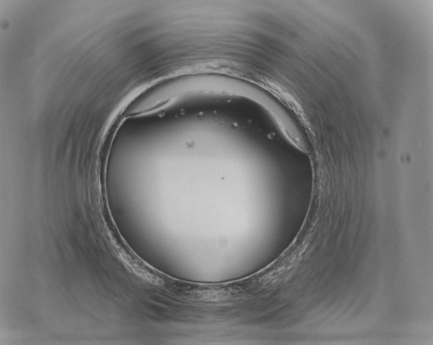 X0000072970792200608111715