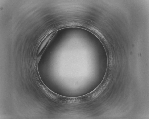 X0000072970793200608111715