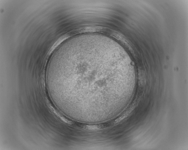 X0000072970794200608111715