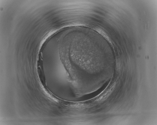 X0000072970797200608111715