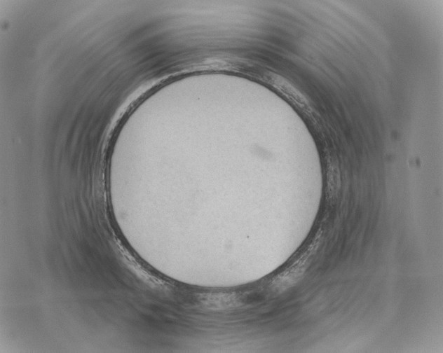 X0000072970800200608111715