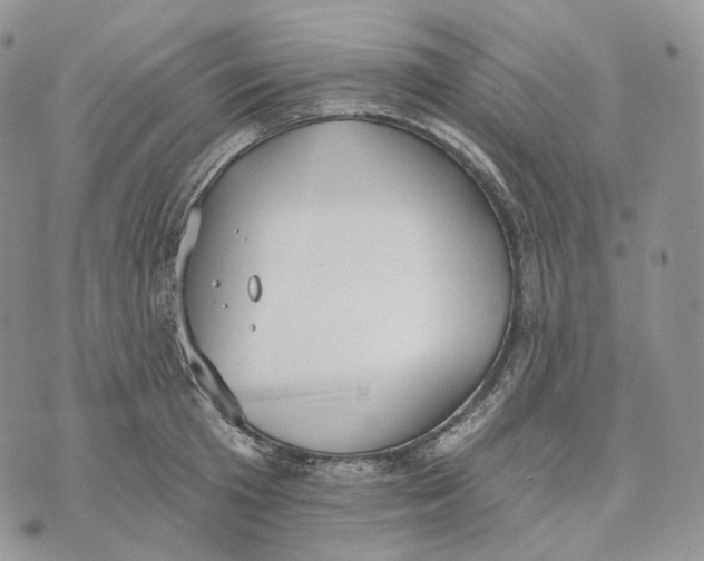 X0000072970801200608111715