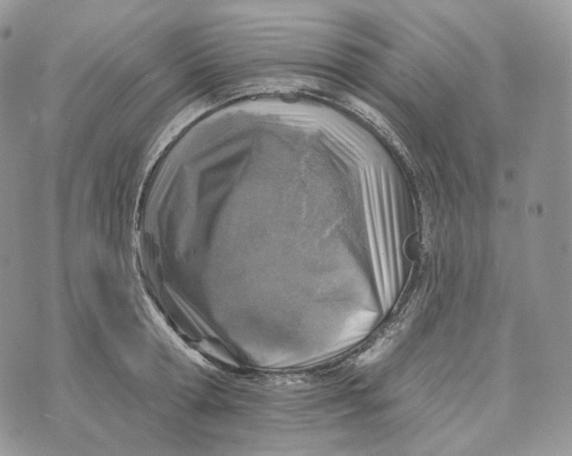 X0000072970802200608111715