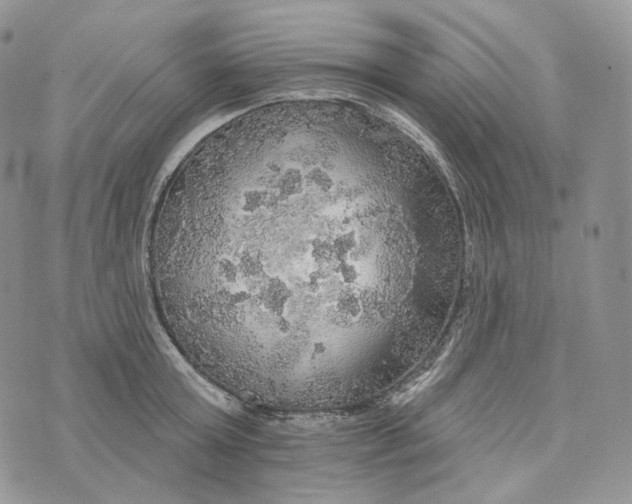 X0000072970803200608111715