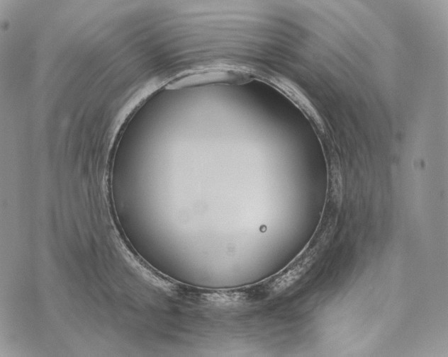 X0000072970805200608111714