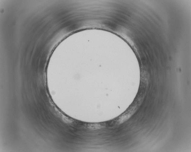 X0000072970807200608111714