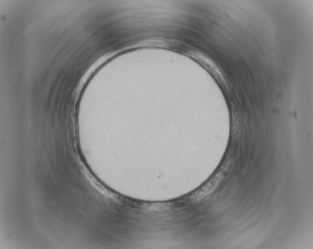 X0000072970808200608111714