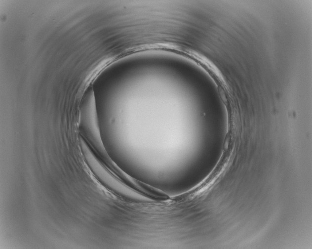 X0000072970809200608111714