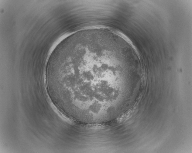 X0000072970811200608111714