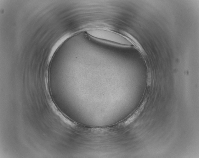 X0000072970812200608111714