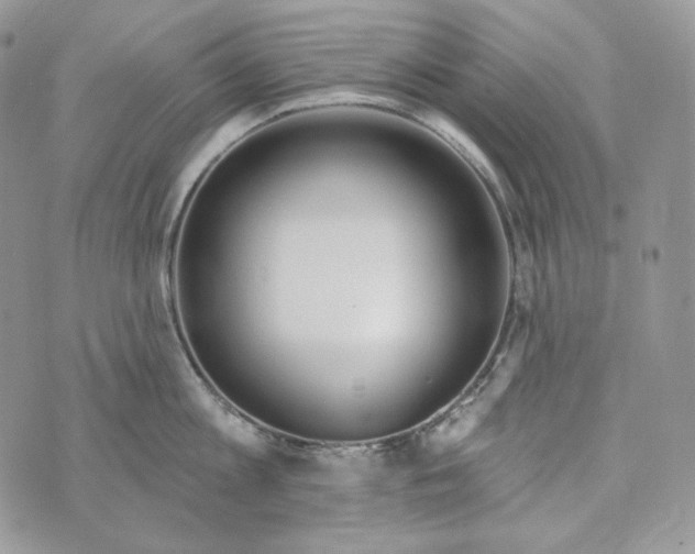 X0000072970813200608111714