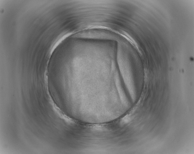 X0000072970814200608111714