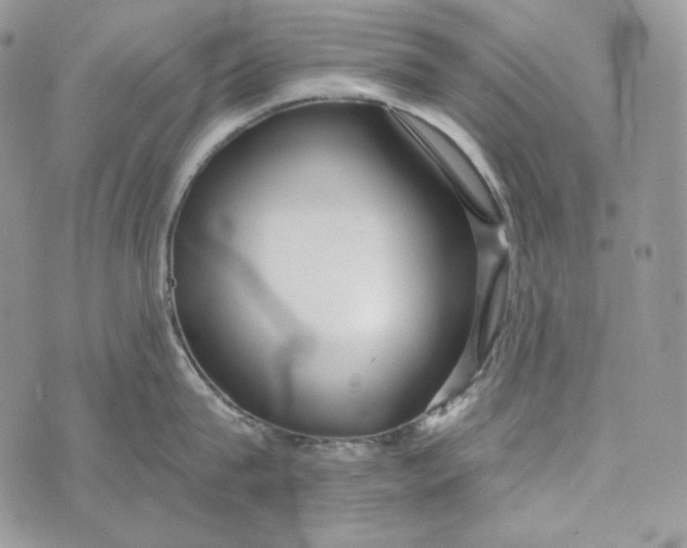 X0000072970815200608111714