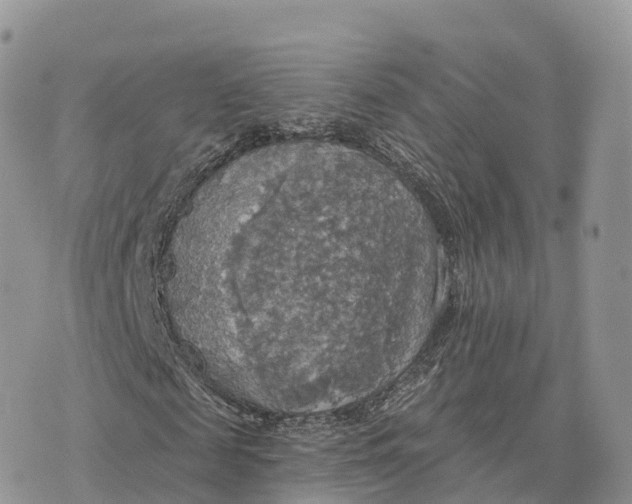 X0000072970817200608111714