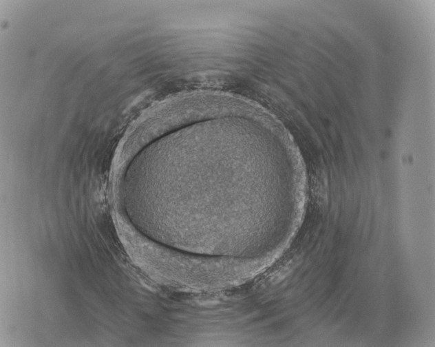 X0000072970818200608111714