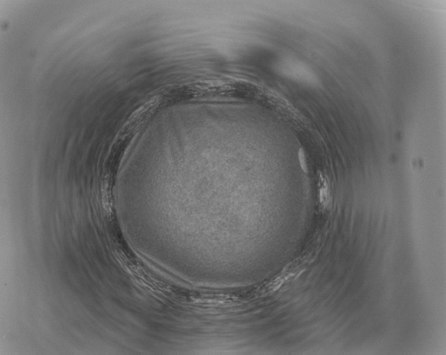 X0000072970819200608111714