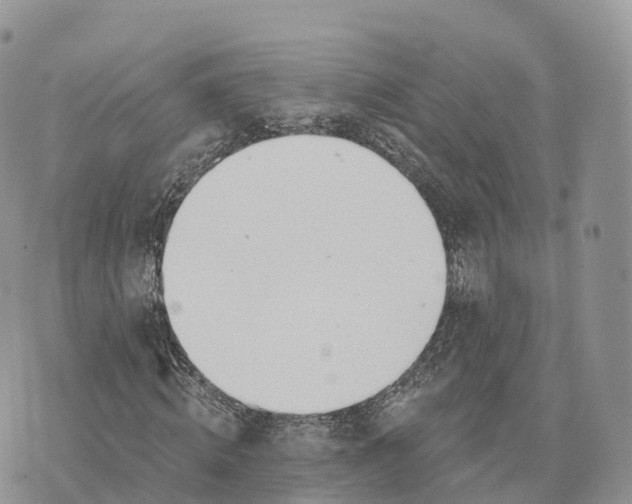 X0000072970820200608111714