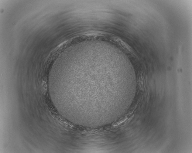 X0000072970821200608111714