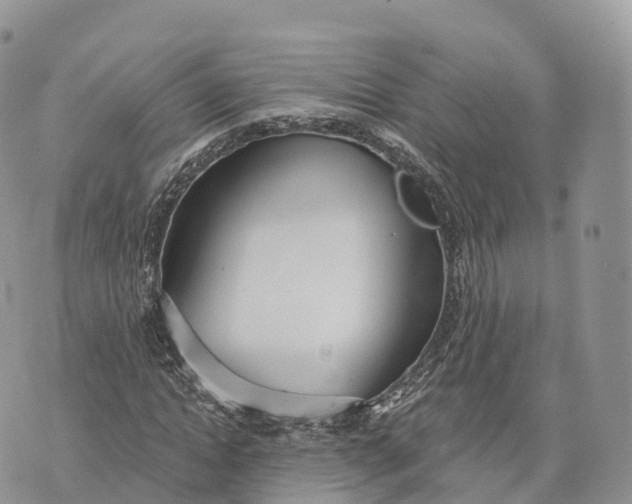 X0000072970822200608111714