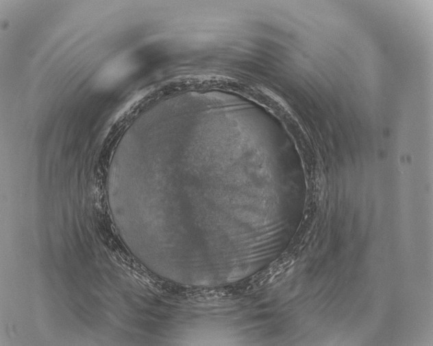 X0000072970823200608111714