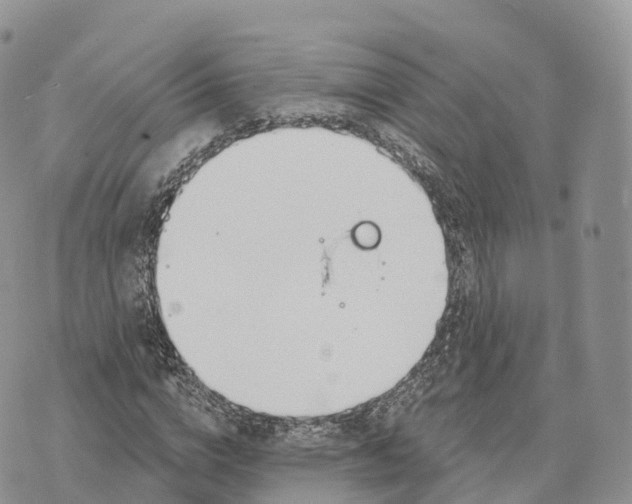 X0000072970824200608111714