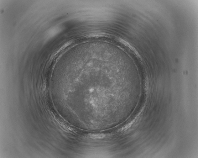 X0000072970825200608111714