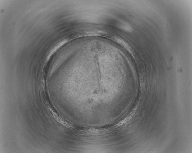 X0000072970827200608111714