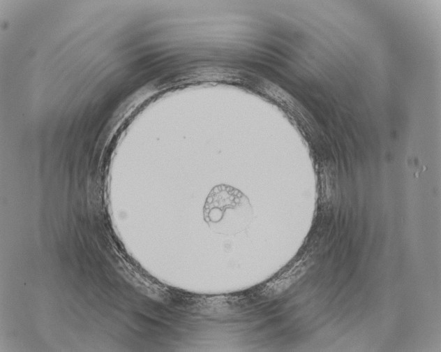 X0000072970828200608111714