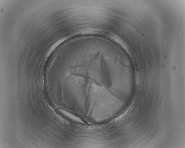 X0000072970829200608111714