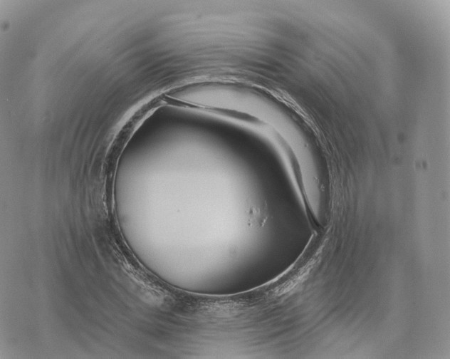 X0000072970830200608111714