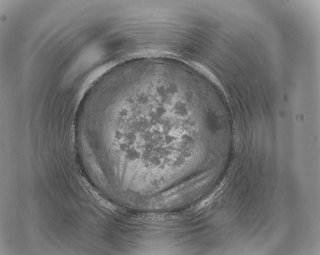 X0000072970831200608111714