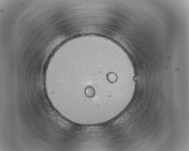 X0000072970832200608111714