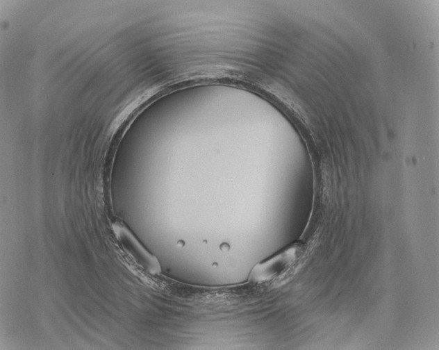 X0000072970834200608111714