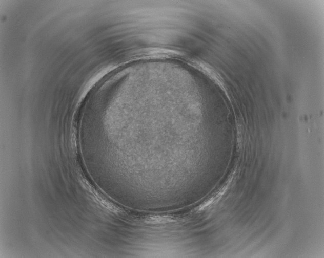 X0000072970835200608111714