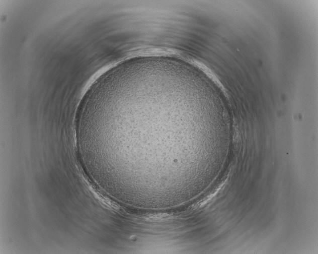 X0000072970837200608111714